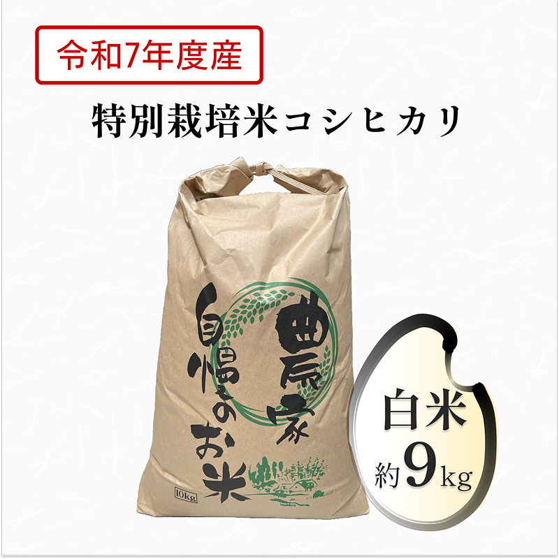 【特別栽培米】コシヒカリ10Kg 白米