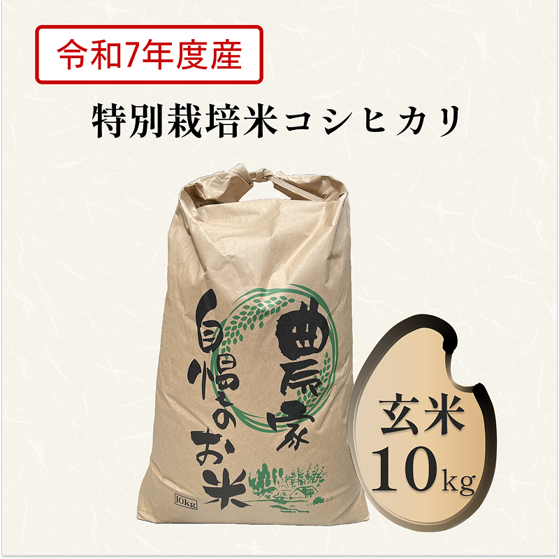 【特別栽培米】コシヒカリ10Kg 玄米
