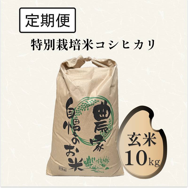 【定期便】特別栽培米 コシヒカリ 10kg 玄米