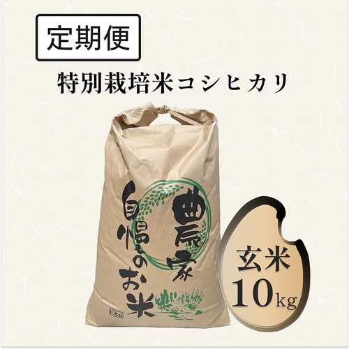 【定期便】特別栽培米 コシヒカリ 10kg 玄米