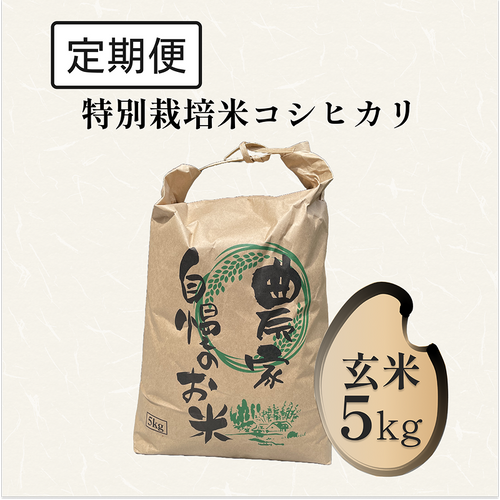 【定期便】特別栽培米 コシヒカリ 5kg 玄米