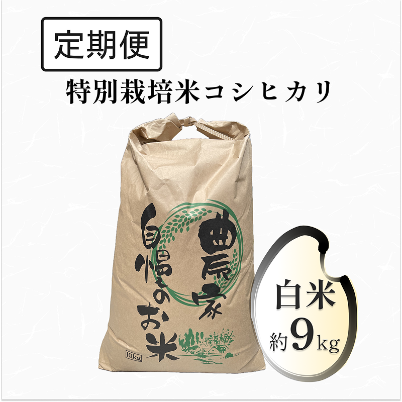 【定期便】特別栽培米 コシヒカリ 9kg 白米