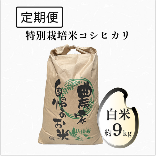 【定期便】特別栽培米 コシヒカリ 9kg 白米